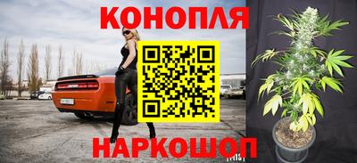 МДПВ Ливны