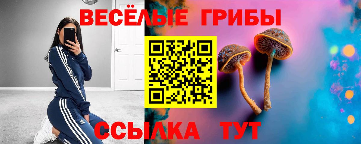 Псилоцибиновые грибы MAGIC MUSHROOMS Ессентуки