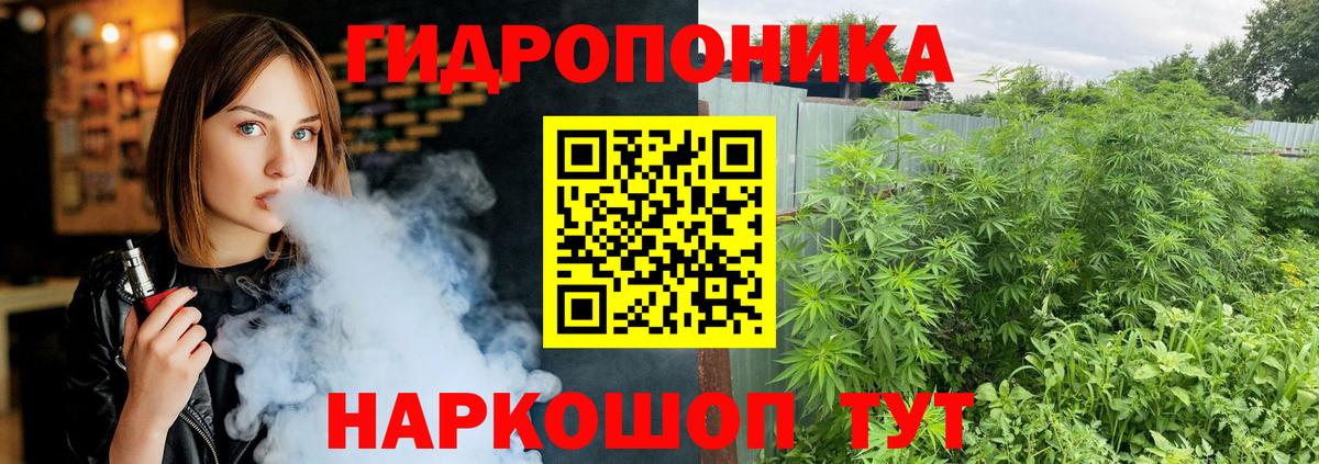 Марихуана конопля Ессентуки
