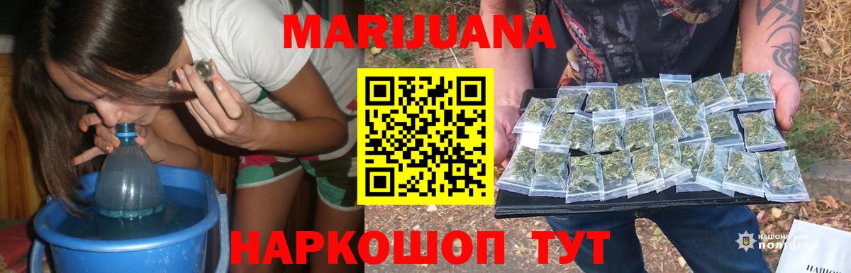Бошки марихуана конопля  Бошки марихуана гибрид  Ессентуки  Вход с VPN  Марихуана сатива 